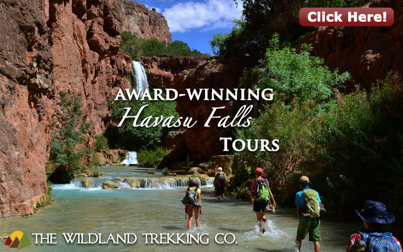 Havasu Falls Tours