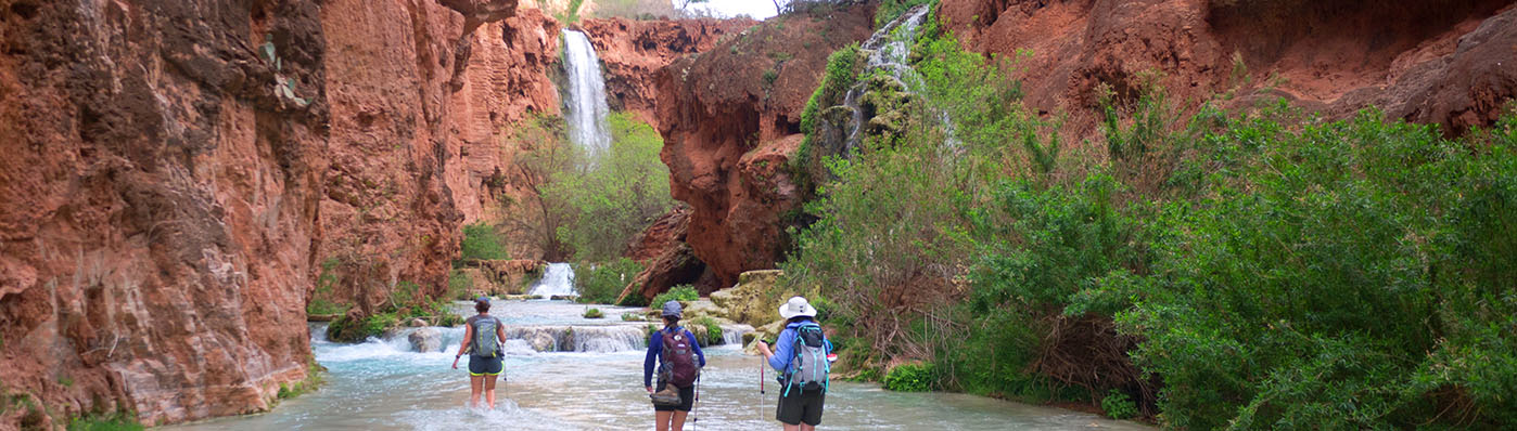 Havasu falls 2025 guided hike